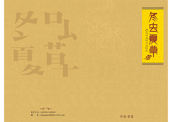 &#108;&#101;&#121;&#117;&#20048;&#40060;